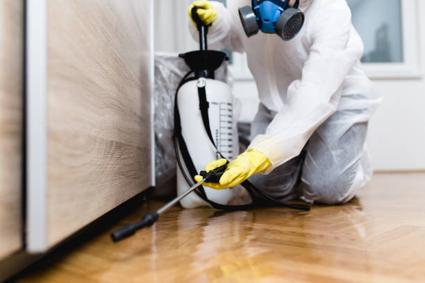 Professional Pest Control in Norris, TN