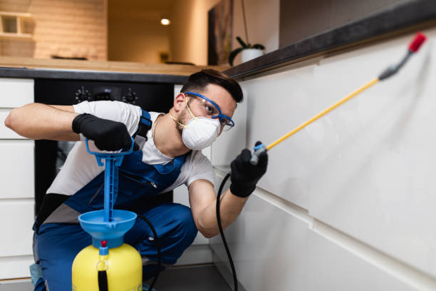Best Mosquito Control Services  in Norris, TN