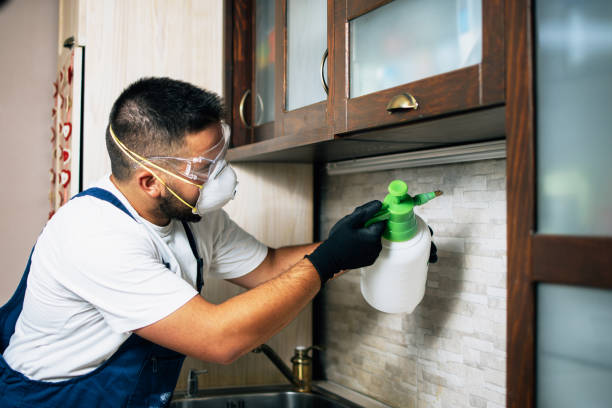 Best Wasp Removal Services  in Norris, TN