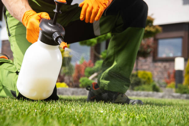 Best Flea Control Services  in Norris, TN