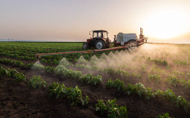 Best Pest Control for Businesses  in Norris, TN