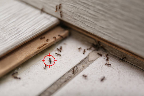 Best Wildlife Control Services  in Norris, TN