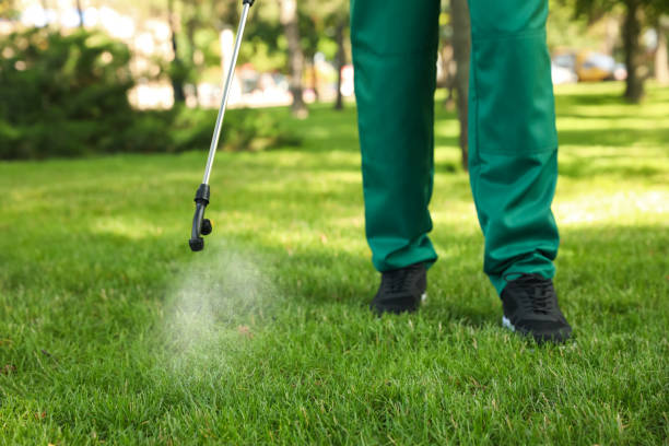Best Rat Extermination Near Me  in Norris, TN