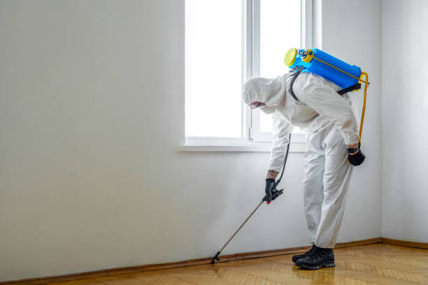 Best Exterminator Services  in Norris, TN