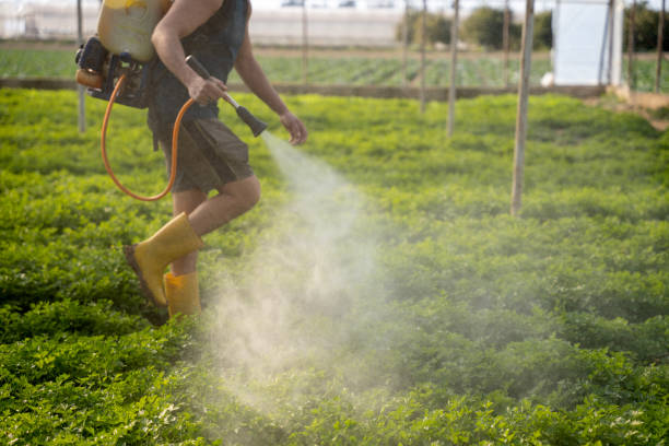 Best Affordable Exterminators  in Norris, TN