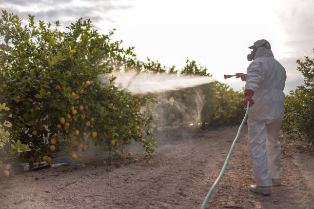 Best Pest Control Near Me  in Norris, TN