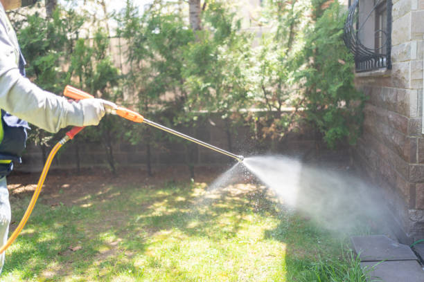 Best Best Pest Control Companies  in Norris, TN