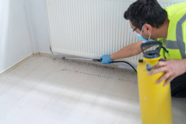 Best Ant Control Services  in Norris, TN