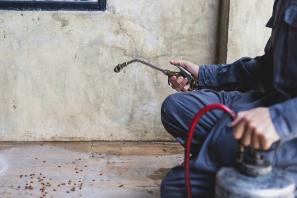 Pest Prevention Services in Norris, TN